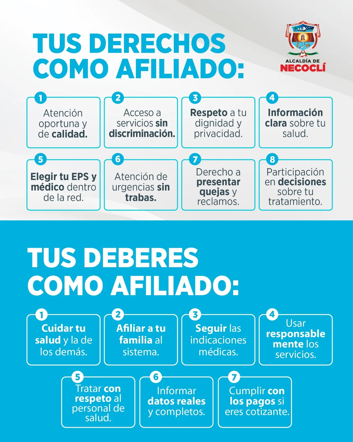 Noticia
